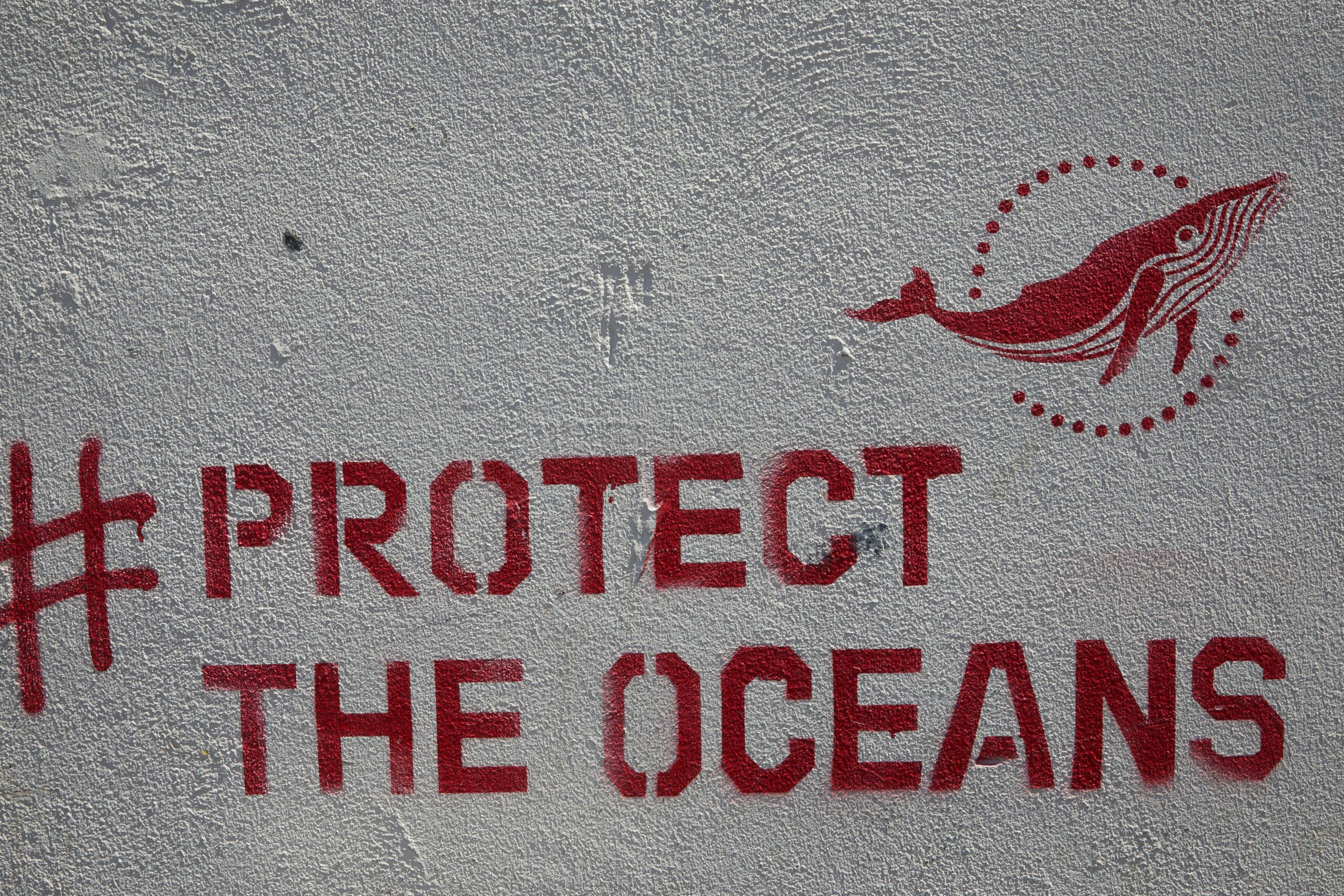 Street art graffiti featuring a whale and message to protect the oceans.
